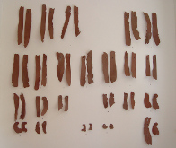 Natalia Laluq Clay Sculptures 2001-2009