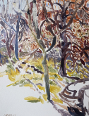 Natalia_Laluq_plein-air_Kyiv_Lviv_Lake Rosseau_2024_2025 (p304)