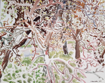 Natalia_Laluq_plein-air_Kyiv_Lviv_Lake Rosseau_2024_2025 (p308)